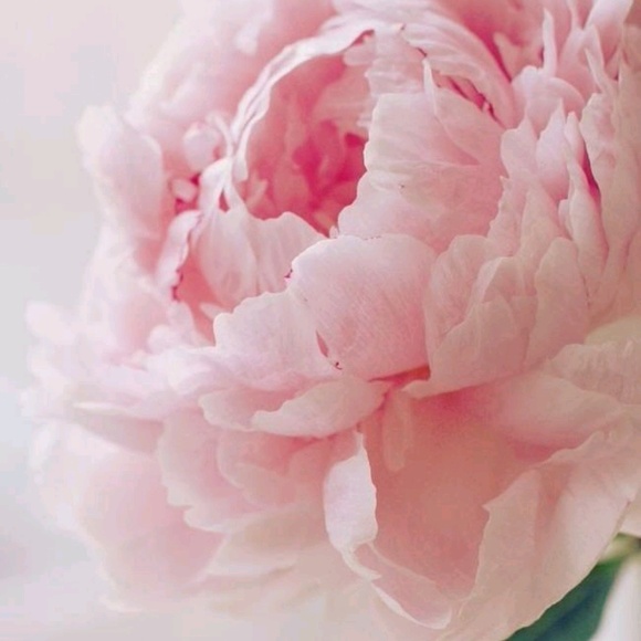 Meet your Posher, Seungeun - Picture 1 of 1